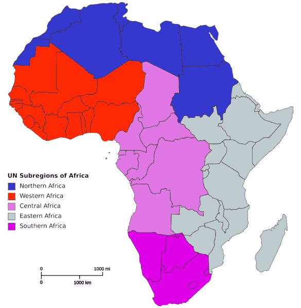 Best African Brokers for 2026 Best African Brokers for 2026