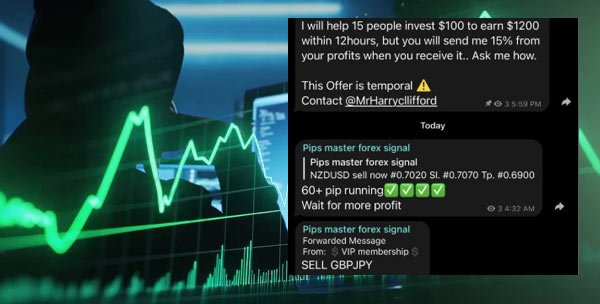 Unregulated Forex Brokers