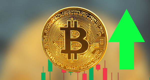 Bitcoin Trades Above Support