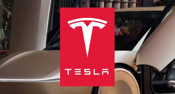  Robotaxis Will Save Tesla Stock 